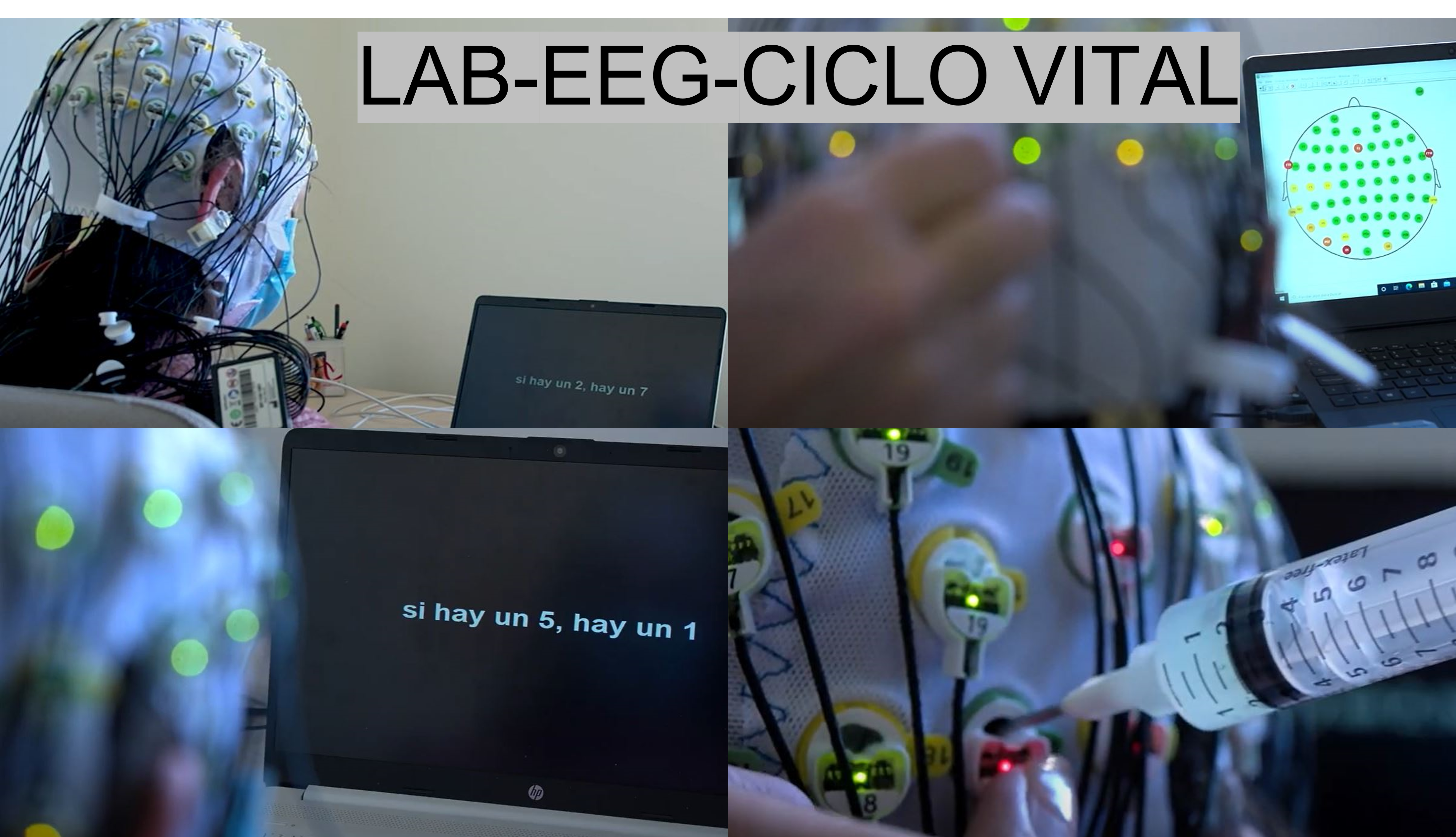 Laboratorio